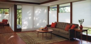 DUETTE® HONEYCOMB SHADES